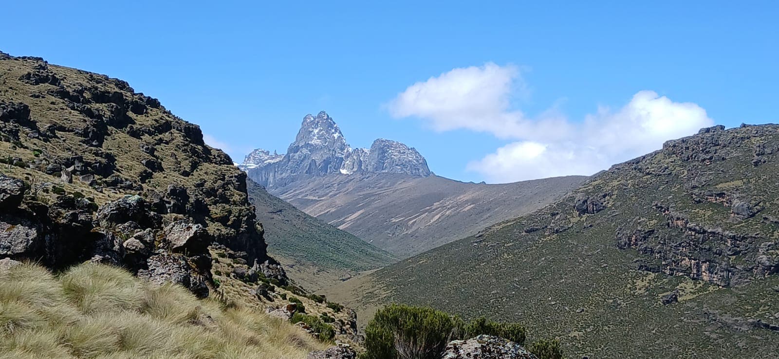 From a Silverback trip